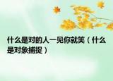 什么是对的人一见你就笑（什么是对象捕捉）