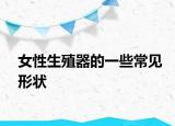 女性生殖器的一些常见形状