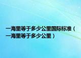 一海里等于多少公里国际标准（一海里等于多少公里）