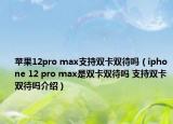 苹果12pro max支持双卡双待吗（iphone 12 pro max是双卡双待吗 支持双卡双待吗介绍）