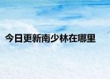 今日更新南少林在哪里