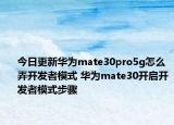 今日更新华为mate30pro5g怎么弄开发者模式 华为mate30开启开发者模式步骤