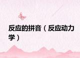 反应的拼音（反应动力学）