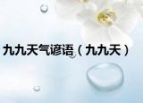 九九天气谚语（九九天）