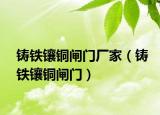 铸铁镶铜闸门厂家（铸铁镶铜闸门）