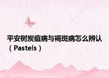 平安树炭疽病与褐斑病怎么辨认（Pastels）