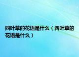 四叶草的花语是什么（四叶草的花语是什么）