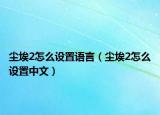 尘埃2怎么设置语言（尘埃2怎么设置中文）