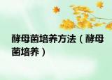 酵母菌培养方法（酵母菌培养）