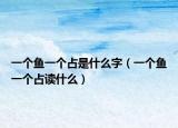 一个鱼一个占是什么字（一个鱼一个占读什么）
