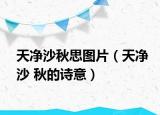 天净沙秋思图片（天净沙 秋的诗意）
