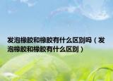 发泡橡胶和橡胶有什么区别吗（发泡橡胶和橡胶有什么区别）