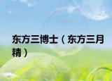 东方三博士（东方三月精）