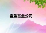 宝盈基金公司