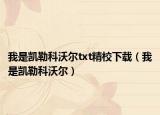我是凯勒科沃尔txt精校下载（我是凯勒科沃尔）