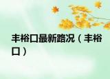 丰裕口最新路况（丰裕口）