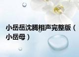 小岳岳沈腾相声完整版（小岳母）