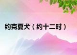 约克夏犬（约十二时）
