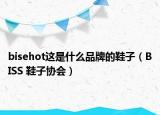 bisehot这是什么品牌的鞋子（BISS 鞋子协会）