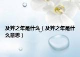 及笄之年是什么（及笄之年是什么意思）