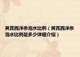 黄芪西洋参泡水比例（黄芪西洋参泡水比例是多少详细介绍）
