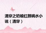 清穿之奶娘红颜祸水小说（清穿）