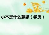 小本是什么意思（学历）