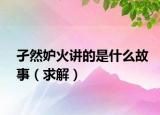 孑然妒火讲的是什么故事（求解）