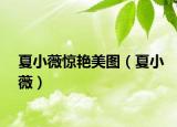 夏小薇惊艳美图（夏小薇）