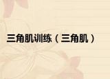 三角肌训练（三角肌）