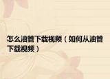 怎么油管下载视频（如何从油管下载视频）