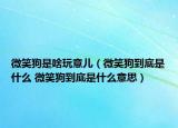 微笑狗是啥玩意儿（微笑狗到底是什么 微笑狗到底是什么意思）
