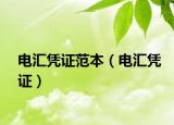 电汇凭证范本（电汇凭证）
