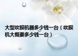 大型吹膜机器多少钱一台（吹膜机大概要多少钱一台）