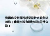 我再也没有那种感觉是什么歌名这首歌（我再也没有那种感觉是什么歌）