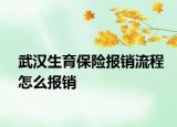 武汉生育保险报销流程怎么报销