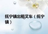 抚宁镇出租叉车（抚宁镇）