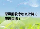 原煤回收率怎么计算（原煤指标）