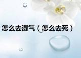 怎么去湿气（怎么去死）