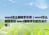 word怎么删除索引项（word怎么删除索引 word删除索引的方法介绍）