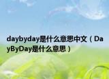 daybyday是什么意思中文（DayByDay是什么意思）