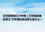 万年青有哪几个种类（万年青的象征意义 万年青的象征意义是什么）