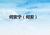何安宁（何安）