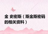 金 史密斯（斯金斯密码的相关资料）