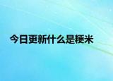 今日更新什么是粳米