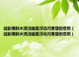 疏影横斜水清浅暗香浮动月黄昏的意思（疏影横斜水清浅暗香浮动月黄昏的意思）