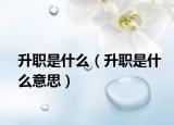 升职是什么（升职是什么意思）