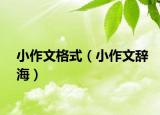 小作文格式（小作文辞海）