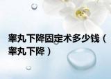 睾丸下降固定术多少钱（睾丸下降）