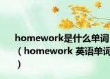 homework是什么单词（homework 英语单词）
